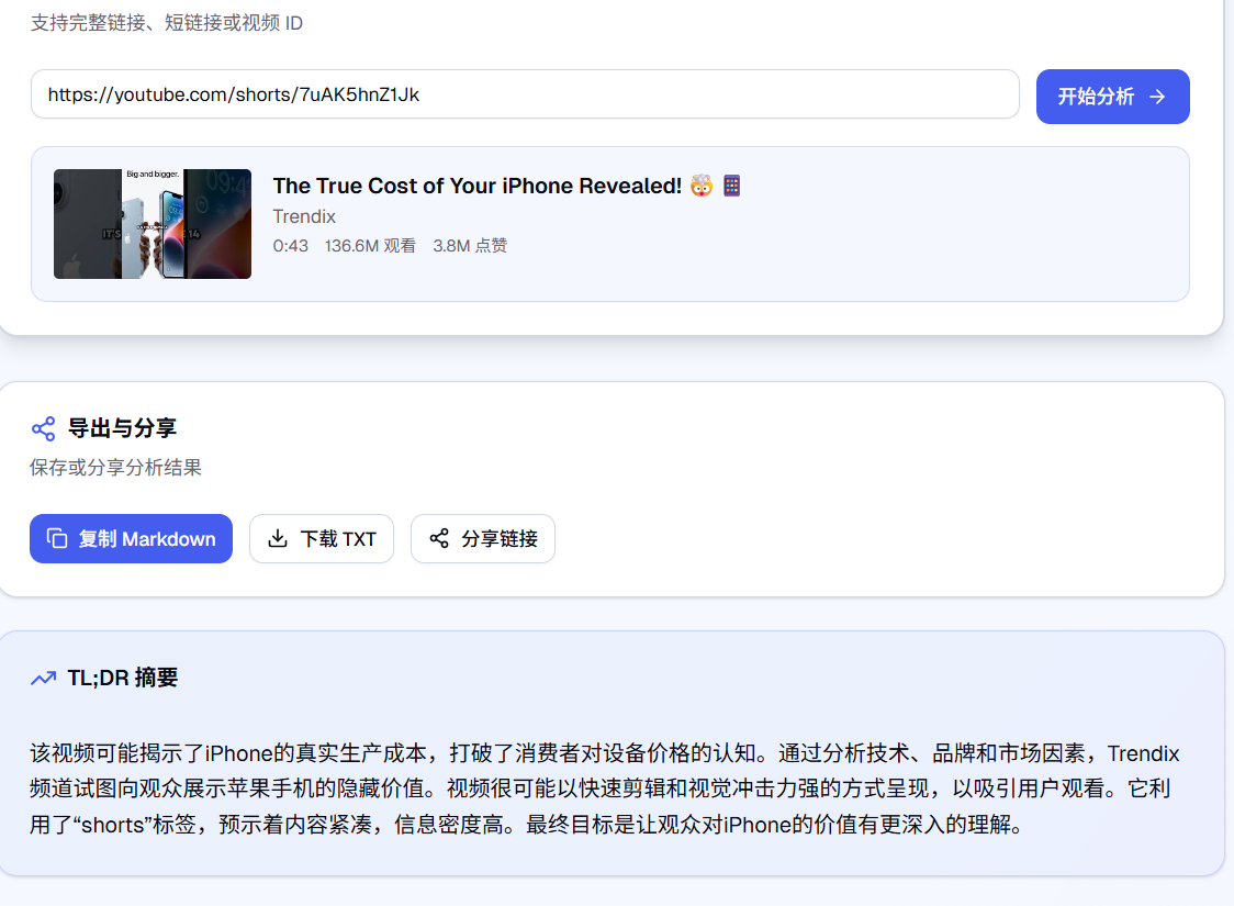 YT Insight 功能演示 - 视频分析结果示例